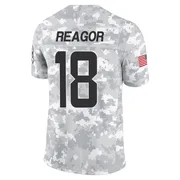 Jalen Reagor Men's Arctic Camo Limited Miami Dolphins 2024 Salute to Service Football Jersey