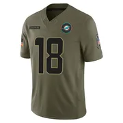Jalen Reagor Men's Olive Limited Miami Dolphins 2025 Salute to Service Football Jersey
